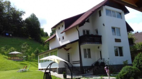 Pensiunea Vladut
